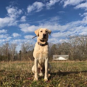 Meet your Posher, Andrew